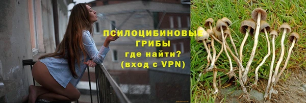 спиды Балабаново