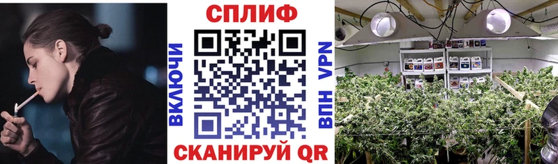 Марихуана MAZAR  Коммунар 